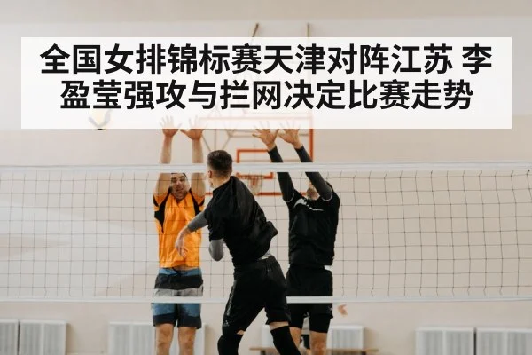 volleyball block net